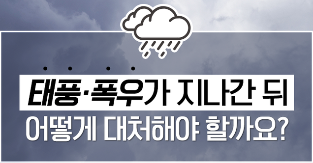 이미지 = 행정안전부 홈페이지