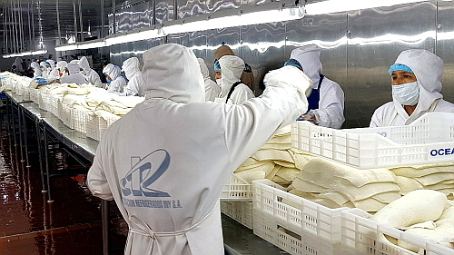 페루 오세아노사 가공시설 모습...<사진=CJ프레시웨이 제공>