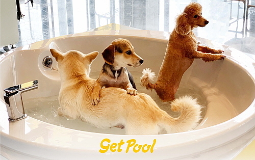 겟풀 매장 안 모습...,사진=탐앤탐스 제공>