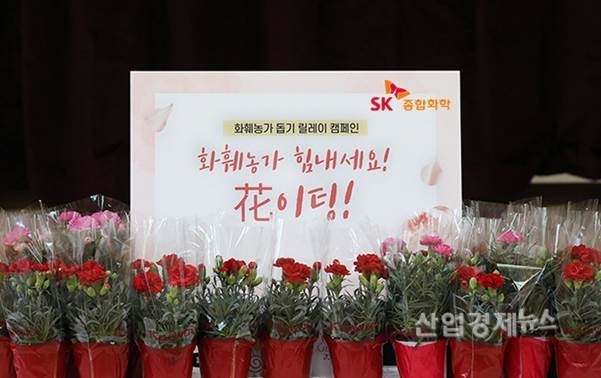 홀몸 어르신들께 전달될 카네이션 화분