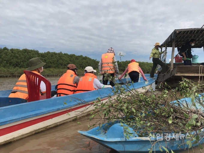 SK이노베이션과 ‘베트남 사회적가치 얼라이언스’ 자원봉사자들이 베트남 맹그로브 묘목 식수활동을 하고 있다. 사진=SK이노베이션