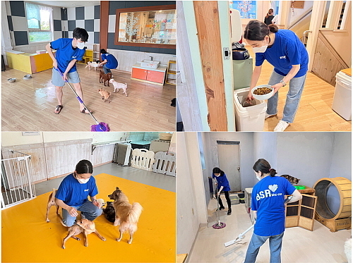 해바라기 봉사단 6기1조 봉사 활동 모습...<사진=bhc치킨 제공.